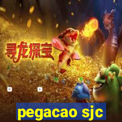 pegacao sjc